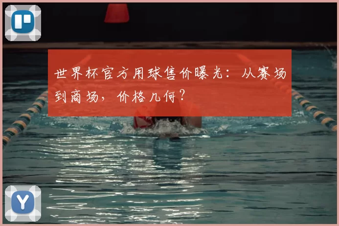 世界杯官方用球售价曝光:从赛场到商场,价格几何?
