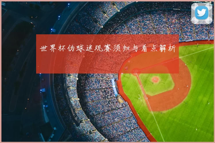 世界杯伪球迷观赛须知与看点解析
