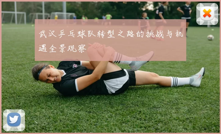 武汉乒乓球队转型之路的挑战与机遇全景观察