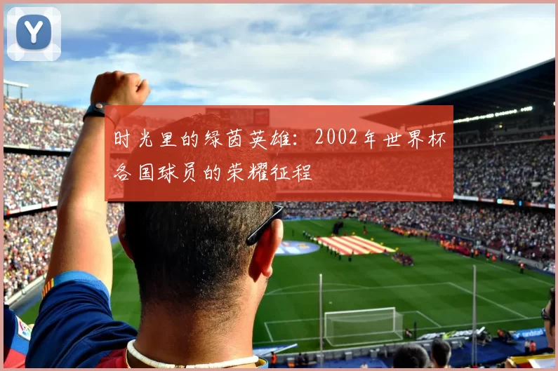 时光里的绿茵英雄：2002年世界杯各国球员的荣耀征程