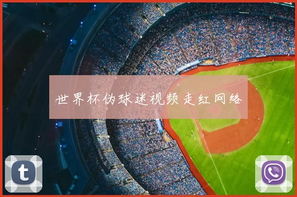 世界杯伪球迷视频走红网络