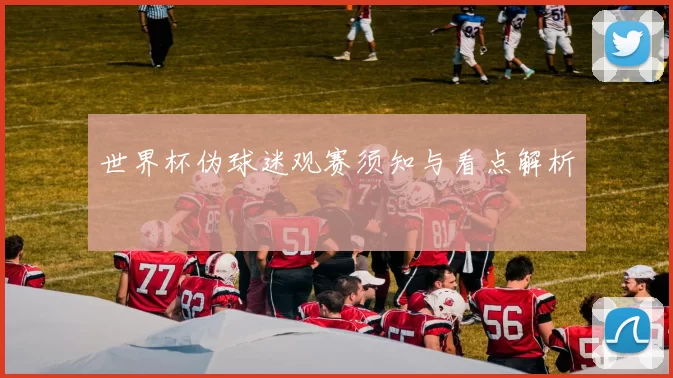 世界杯伪球迷观赛须知与看点解析