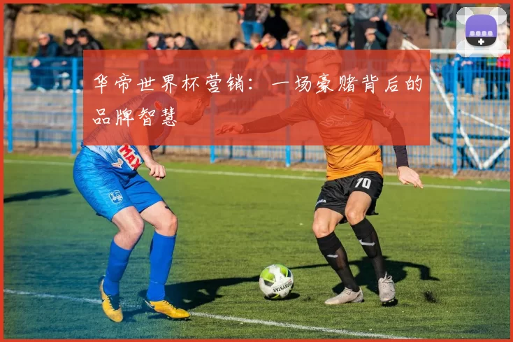 华帝世界杯营销：一场豪赌背后的品牌智慧