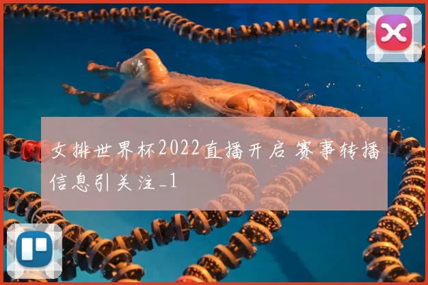 女排世界杯2022直播开启 赛事转播信息引关注_1