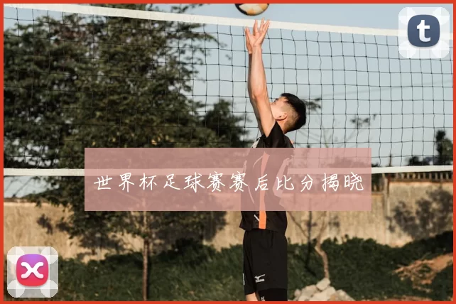 世界杯足球赛赛后比分揭晓