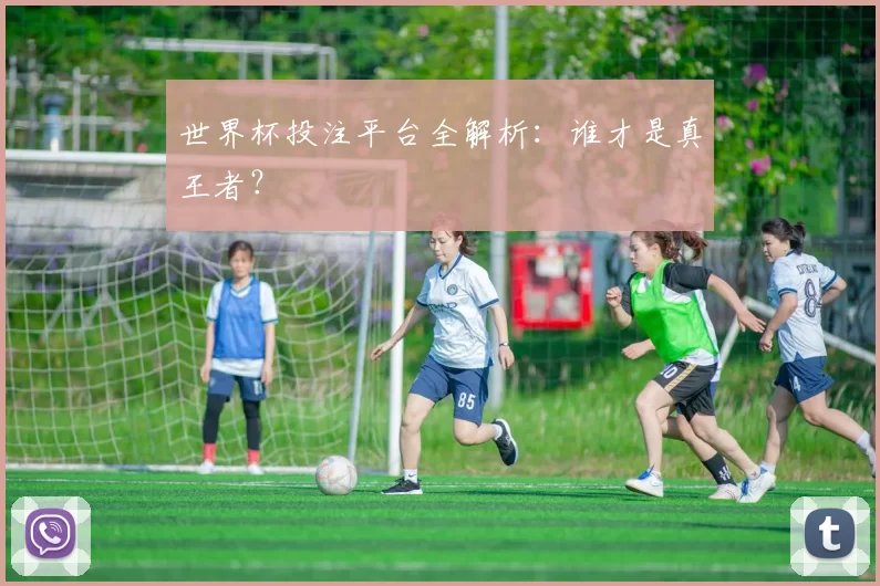 世界杯投注平台全解析:谁才是真王者?