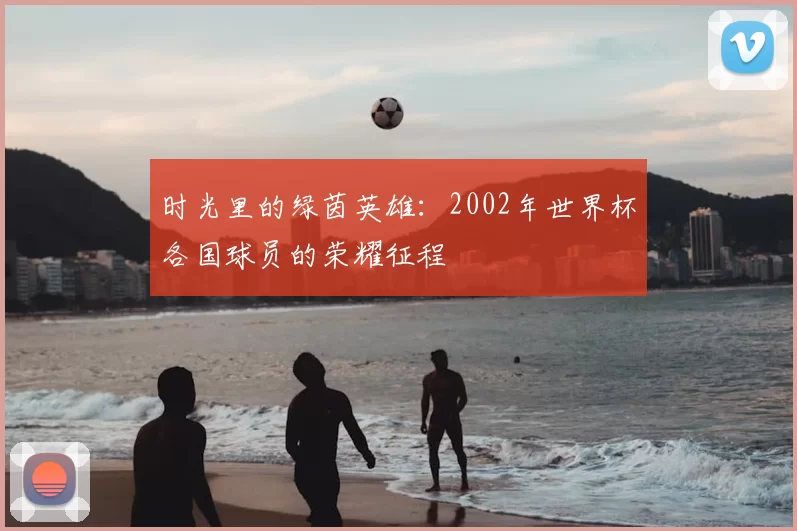 时光里的绿茵英雄：2002年世界杯各国球员的荣耀征程