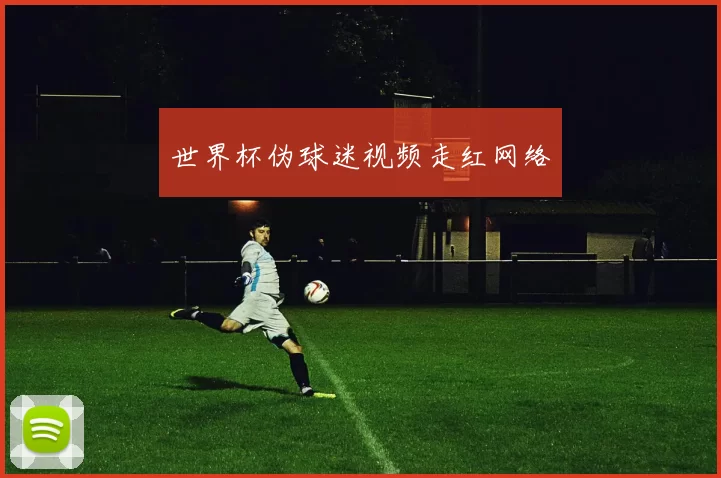 世界杯伪球迷视频走红网络